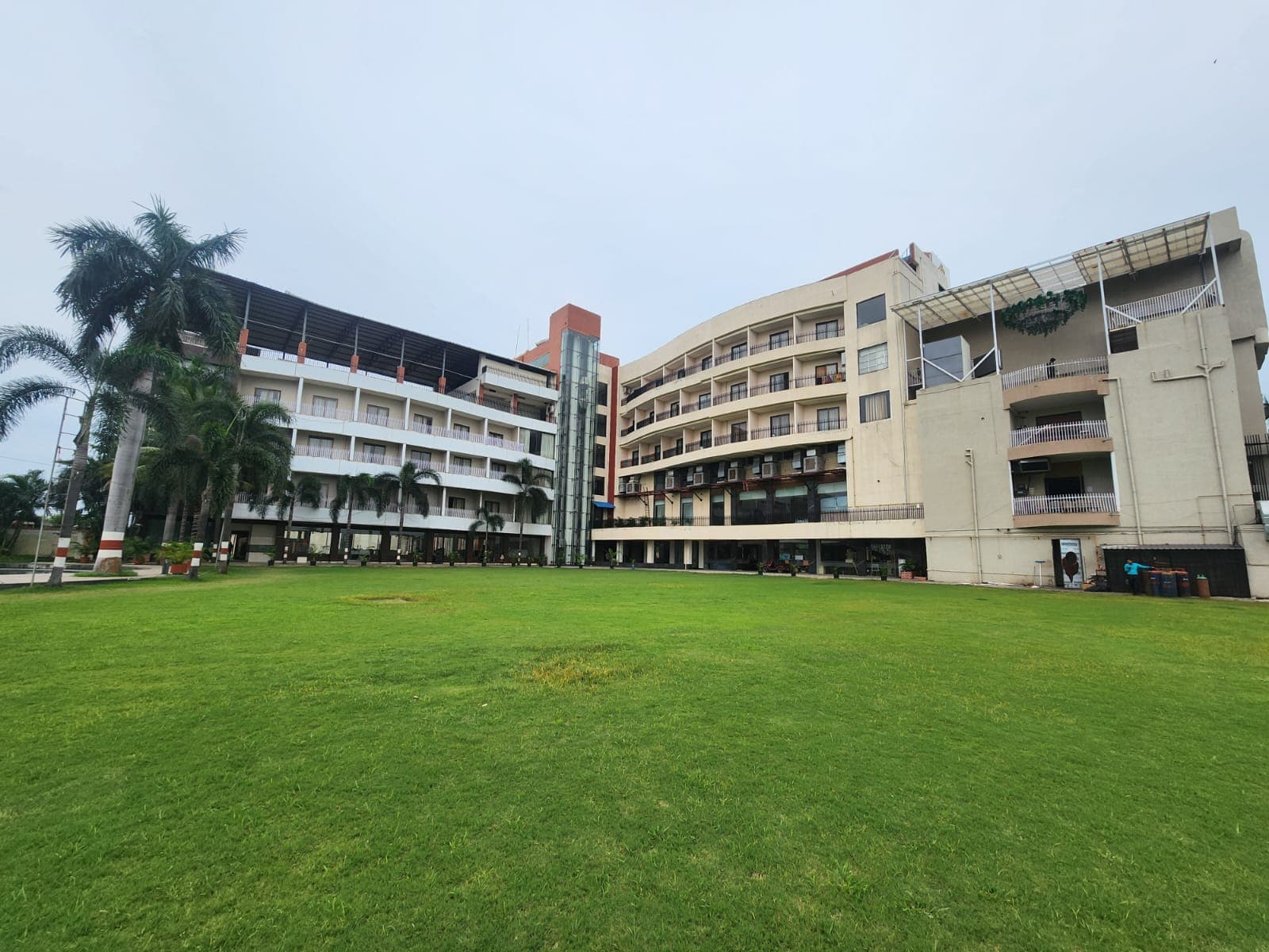 A Block Lawn